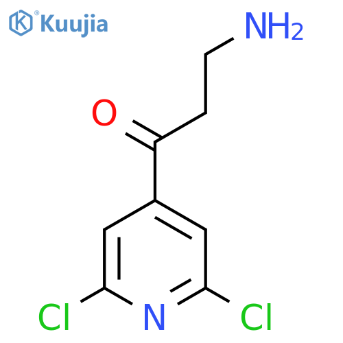 3-amino-1-(2,6-dichloropyridin-4-yl)propan-1-one structure