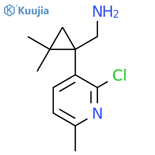 1-(2-chloro-6-methylpyridin-3-yl)-2,2-dimethylcyclopropylmethanamine structure