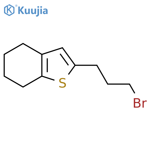 2-(3-bromopropyl)-4,5,6,7-tetrahydro-1-benzothiophene structure