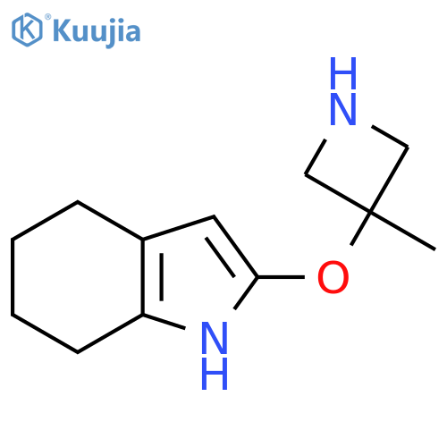 2-(3-methylazetidin-3-yl)oxy-4,5,6,7-tetrahydro-1H-indole structure