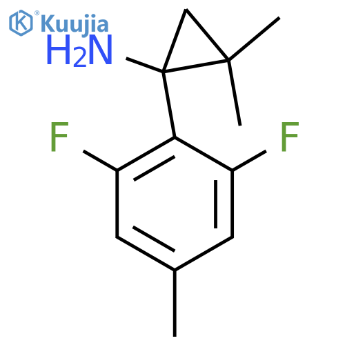 1-(2,6-difluoro-4-methylphenyl)-2,2-dimethylcyclopropan-1-amine structure