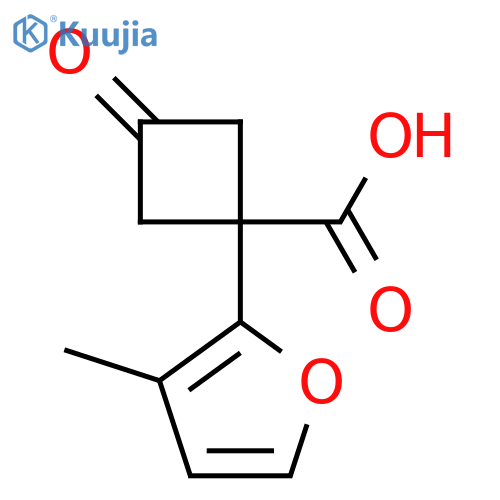 1-(3-methylfuran-2-yl)-3-oxocyclobutane-1-carboxylic acid structure
