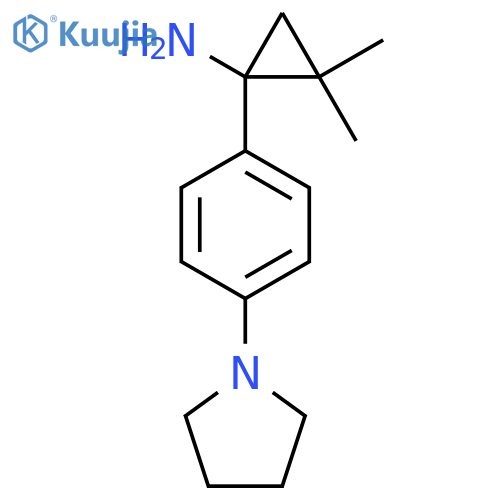 2,2-dimethyl-1-4-(pyrrolidin-1-yl)phenylcyclopropan-1-amine structure