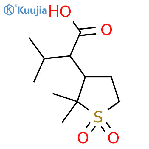 2-(2,2-dimethyl-1,1-dioxo-1lambda6-thiolan-3-yl)-3-methylbutanoic acid structure