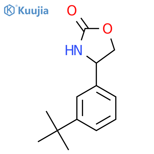 4-(3-tert-butylphenyl)-1,3-oxazolidin-2-one structure