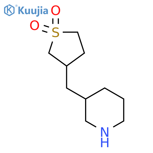 3-(piperidin-3-yl)methyl-1lambda6-thiolane-1,1-dione structure