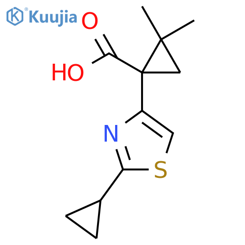 1-(2-cyclopropyl-1,3-thiazol-4-yl)-2,2-dimethylcyclopropane-1-carboxylic acid structure