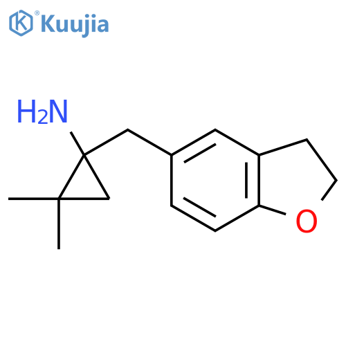 1-(2,3-dihydro-1-benzofuran-5-yl)methyl-2,2-dimethylcyclopropan-1-amine structure