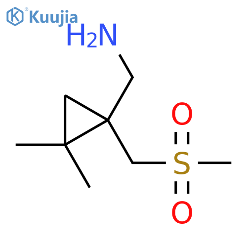 1-(methanesulfonylmethyl)-2,2-dimethylcyclopropylmethanamine structure