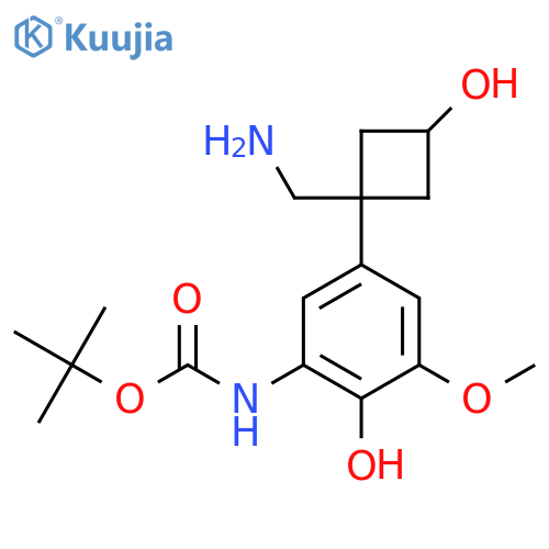 tert-butyl N-{5-1-(aminomethyl)-3-hydroxycyclobutyl-2-hydroxy-3-methoxyphenyl}carbamate structure