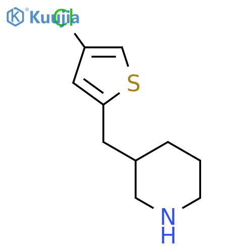 3-(4-chlorothiophen-2-yl)methylpiperidine structure