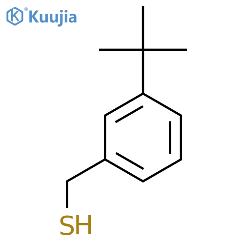 (3-tert-butylphenyl)methanethiol structure