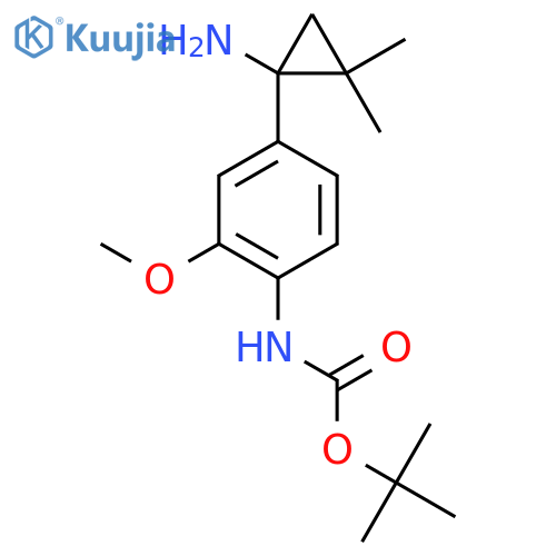 tert-butyl N-4-(1-amino-2,2-dimethylcyclopropyl)-2-methoxyphenylcarbamate structure