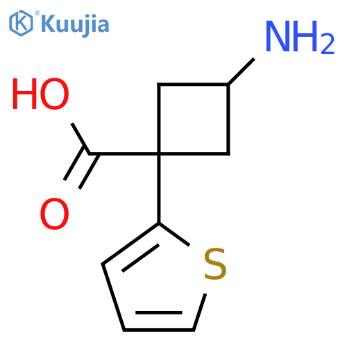3-amino-1-(thiophen-2-yl)cyclobutane-1-carboxylic acid structure