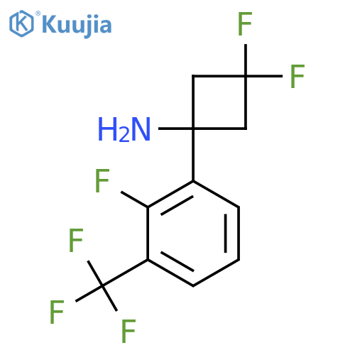 3,3-difluoro-1-2-fluoro-3-(trifluoromethyl)phenylcyclobutan-1-amine structure