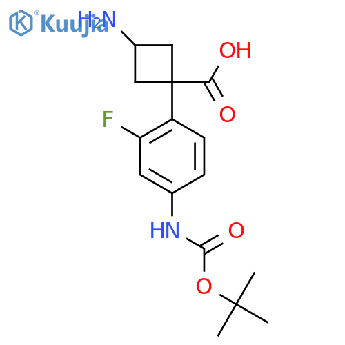 3-amino-1-(4-{(tert-butoxy)carbonylamino}-2-fluorophenyl)cyclobutane-1-carboxylic acid structure