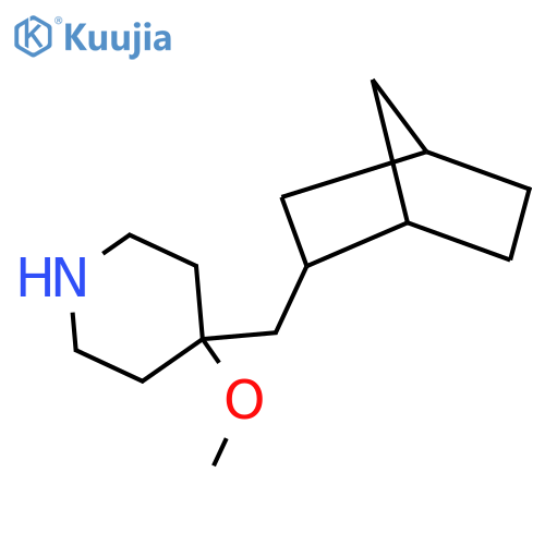 4-({bicyclo2.2.1heptan-2-yl}methyl)-4-methoxypiperidine structure