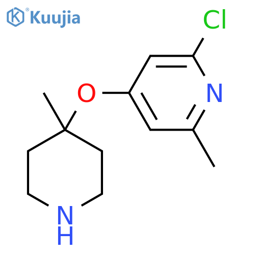 2-chloro-6-methyl-4-(4-methylpiperidin-4-yl)oxypyridine structure