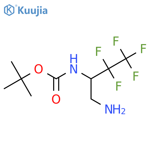 tert-butyl N-(1-amino-3,3,4,4,4-pentafluorobutan-2-yl)carbamate structure