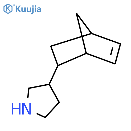 3-{bicyclo2.2.1hept-5-en-2-yl}pyrrolidine structure
