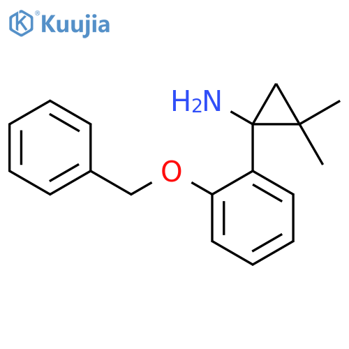 1-2-(benzyloxy)phenyl-2,2-dimethylcyclopropan-1-amine structure