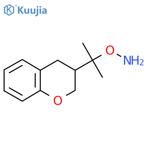 O-2-(3,4-dihydro-2H-1-benzopyran-3-yl)propan-2-ylhydroxylamine structure