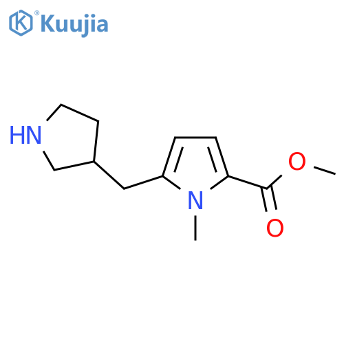 methyl 1-methyl-5-(pyrrolidin-3-yl)methyl-1H-pyrrole-2-carboxylate structure