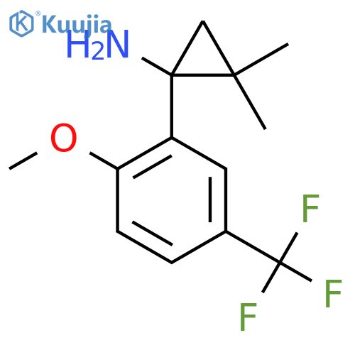 1-2-methoxy-5-(trifluoromethyl)phenyl-2,2-dimethylcyclopropan-1-amine structure