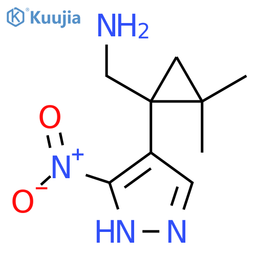 2,2-dimethyl-1-(3-nitro-1H-pyrazol-4-yl)cyclopropylmethanamine structure