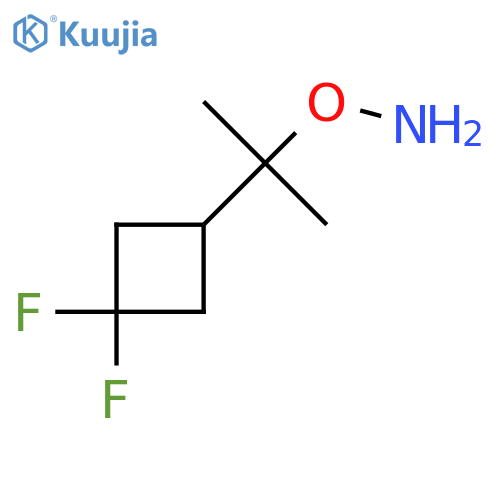 O-2-(3,3-difluorocyclobutyl)propan-2-ylhydroxylamine structure