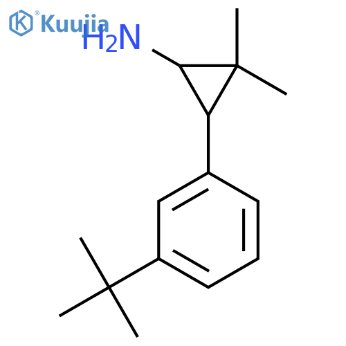 3-(3-tert-butylphenyl)-2,2-dimethylcyclopropan-1-amine structure