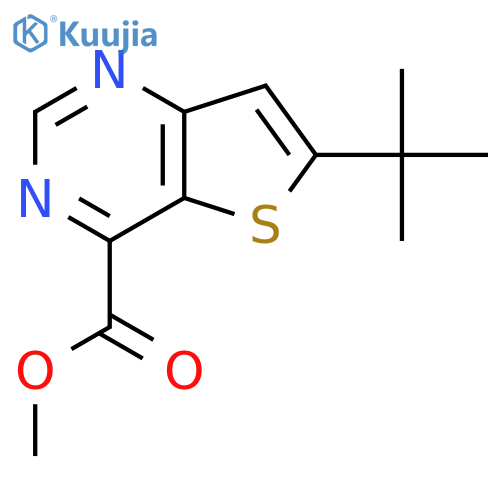 Methyl 6-tert-butylthieno[3,2-d]pyrimidine-4-carboxylate structure