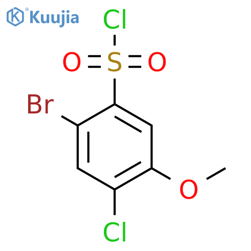 2-Bromo-4-chloro-5-methoxybenzenesulfonyl chloride structure