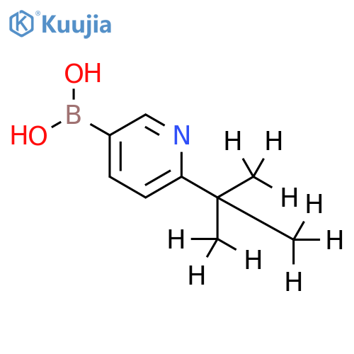 (6-(2-(methyl-d3)propan-2-yl-1,1,1,3,3,3-d6)pyridin-3-yl)boronic acid structure
