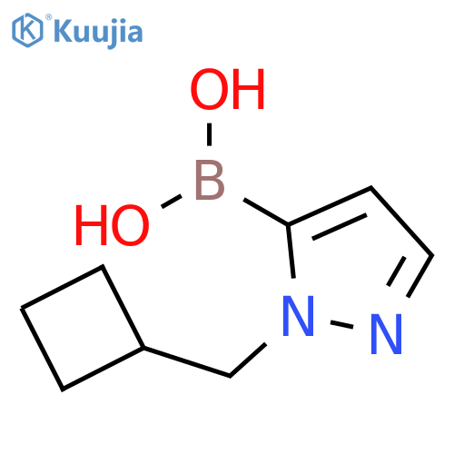 Boronic acid, B-[1-(cyclobutylmethyl)-1H-pyrazol-5-yl]- structure