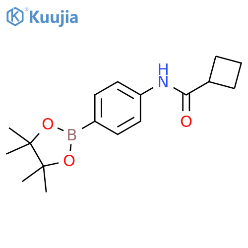 N-[4-(Tetramethyl-1,3,2-dioxaborolan-2-yl)phenyl]cyclobutanecarboxamide structure