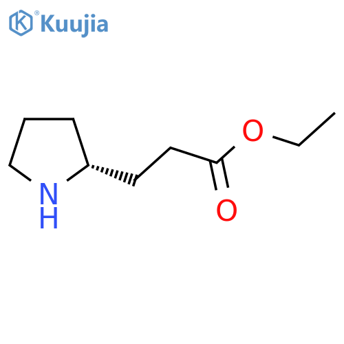Ethyl 3-[(2R)-pyrrolidin-2-yl]propanoate structure