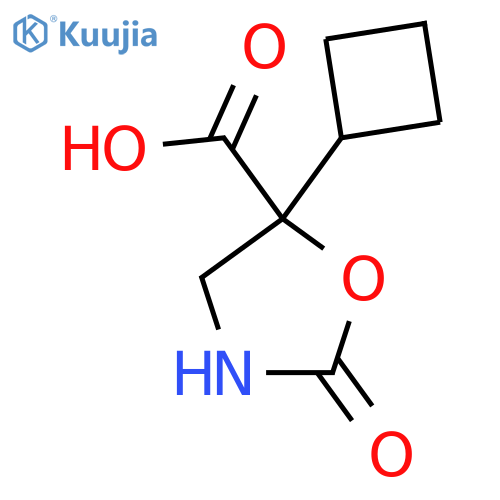 5-Cyclobutyl-2-oxo-1,3-oxazolidine-5-carboxylic acid structure