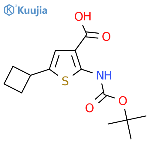2-{[(Tert-butoxy)carbonyl]amino}-5-cyclobutylthiophene-3-carboxylic acid structure