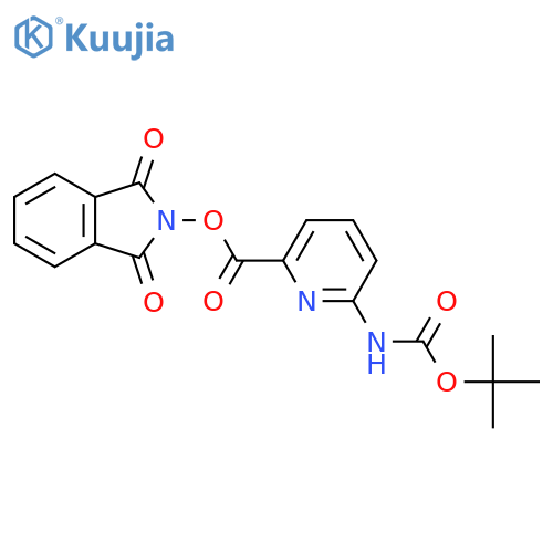 1,3-dioxo-2,3-dihydro-1H-isoindol-2-yl 6-{[(tert-butoxy)carbonyl]amino}pyridine-2-carboxylate structure