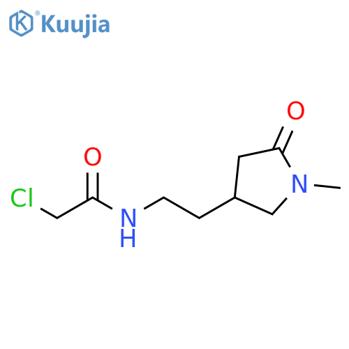 2-chloro-N-2-(1-methyl-5-oxopyrrolidin-3-yl)ethylacetamide structure