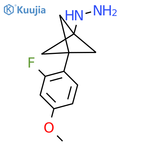 [3-(2-Fluoro-4-methoxyphenyl)-1-bicyclo[1.1.1]pentanyl]hydrazine structure