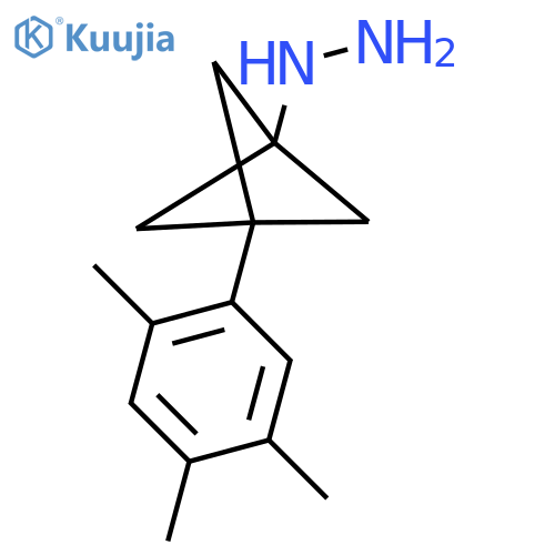 [3-(2,4,5-Trimethylphenyl)-1-bicyclo[1.1.1]pentanyl]hydrazine structure