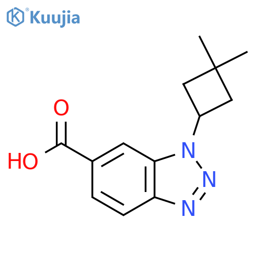 1-(3,3-dimethylcyclobutyl)-1H-1,2,3-benzotriazole-6-carboxylic acid structure