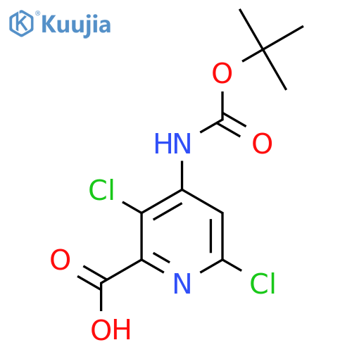 4-{[(Tert-butoxy)carbonyl]amino}-3,6-dichloropyridine-2-carboxylic acid structure