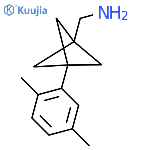 [3-(2,5-Dimethylphenyl)-1-bicyclo[1.1.1]pentanyl]methanamine structure
