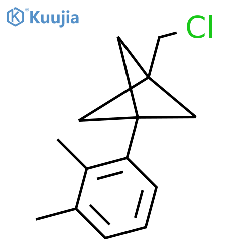 1-(Chloromethyl)-3-(2,3-dimethylphenyl)bicyclo[1.1.1]pentane structure