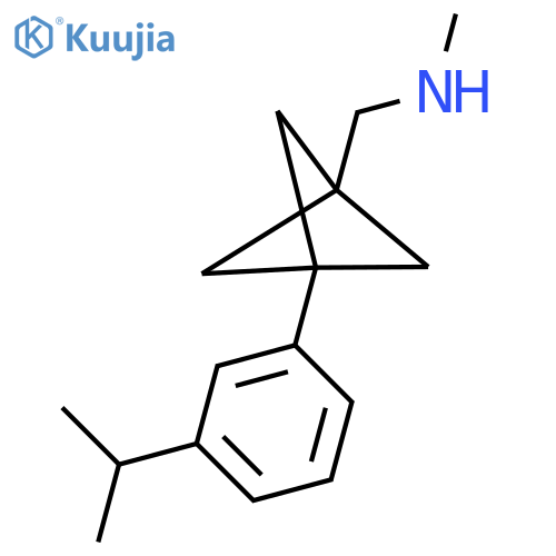 Methyl({3-[3-(propan-2-yl)phenyl]bicyclo[1.1.1]pentan-1-yl}methyl)amine structure
