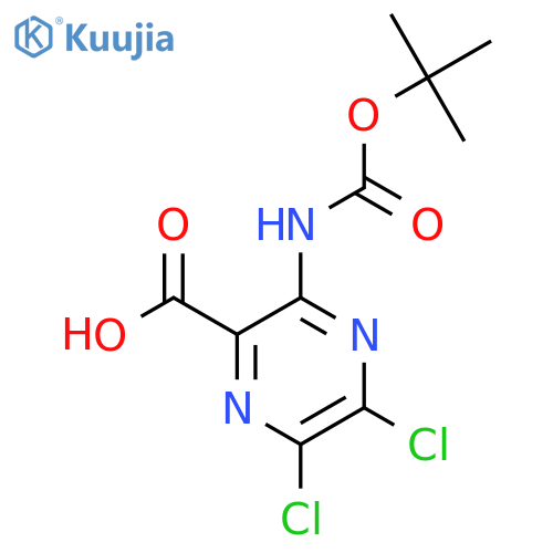 3-{[(Tert-butoxy)carbonyl]amino}-5,6-dichloropyrazine-2-carboxylic acid structure