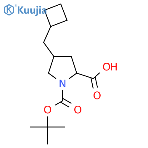 1-[(Tert-butoxy)carbonyl]-4-(cyclobutylmethyl)pyrrolidine-2-carboxylic acid structure